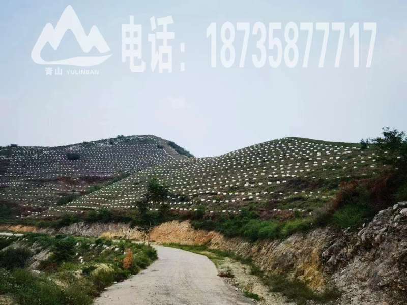 耐老化育林板的优势之一