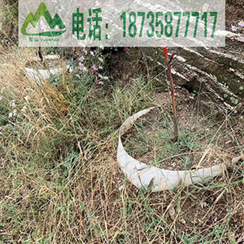 育林板多少钱一块