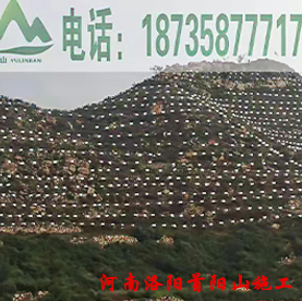 育林板河南洛阳首阳山施工案例