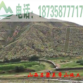 育林板山西吕梁关帝山施工案例
