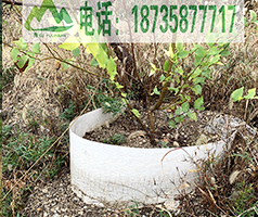 浅谈青山育林板的特点