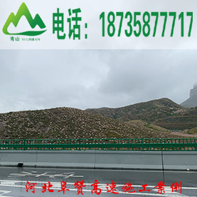 育林板在荒山造林中的应用