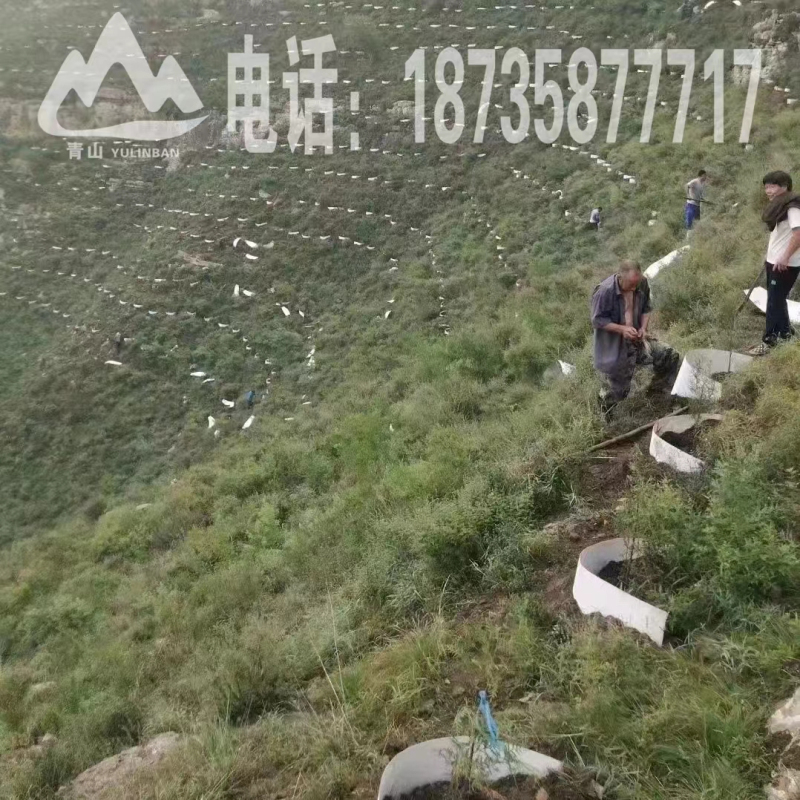 青山育林板------我奋斗的目标