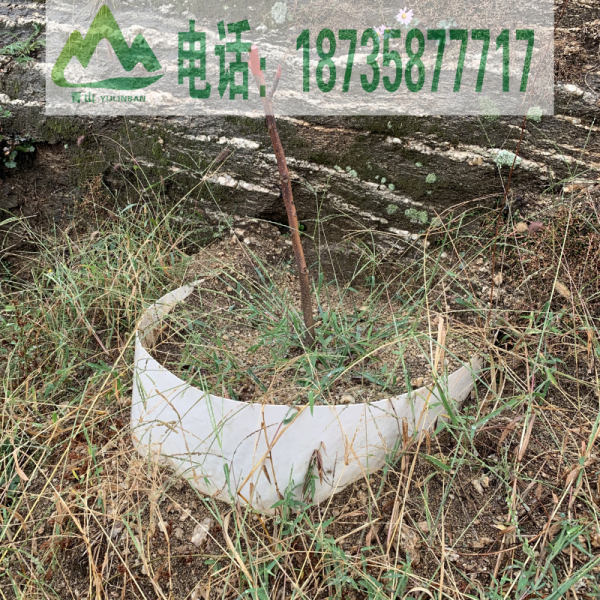 	 产品展示