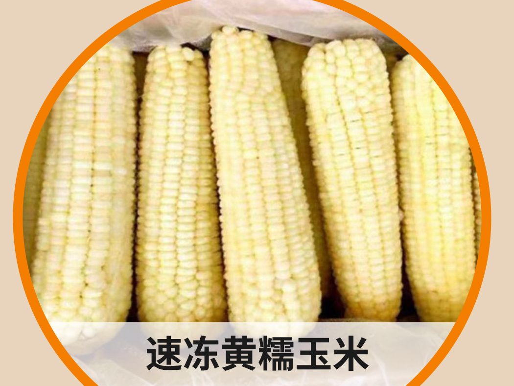 速凍黃糯玉米