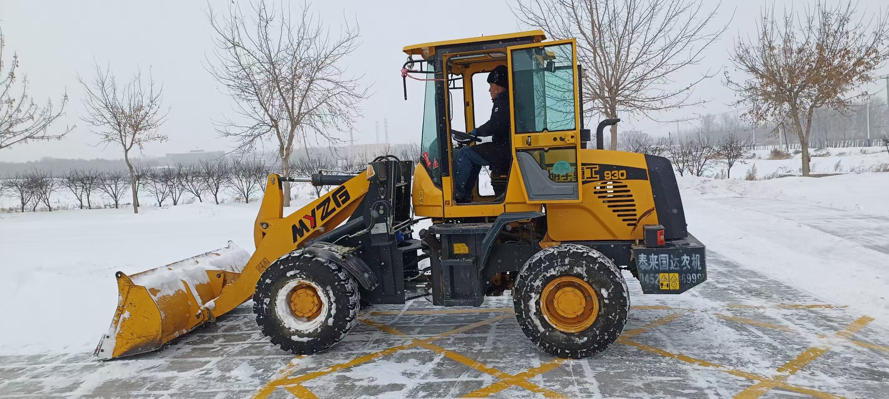 11月25日公司清雪