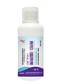 止血烂鳃灵