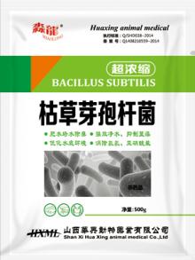 枯草芽孢杆菌