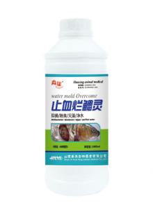 浓戊二醛溶液