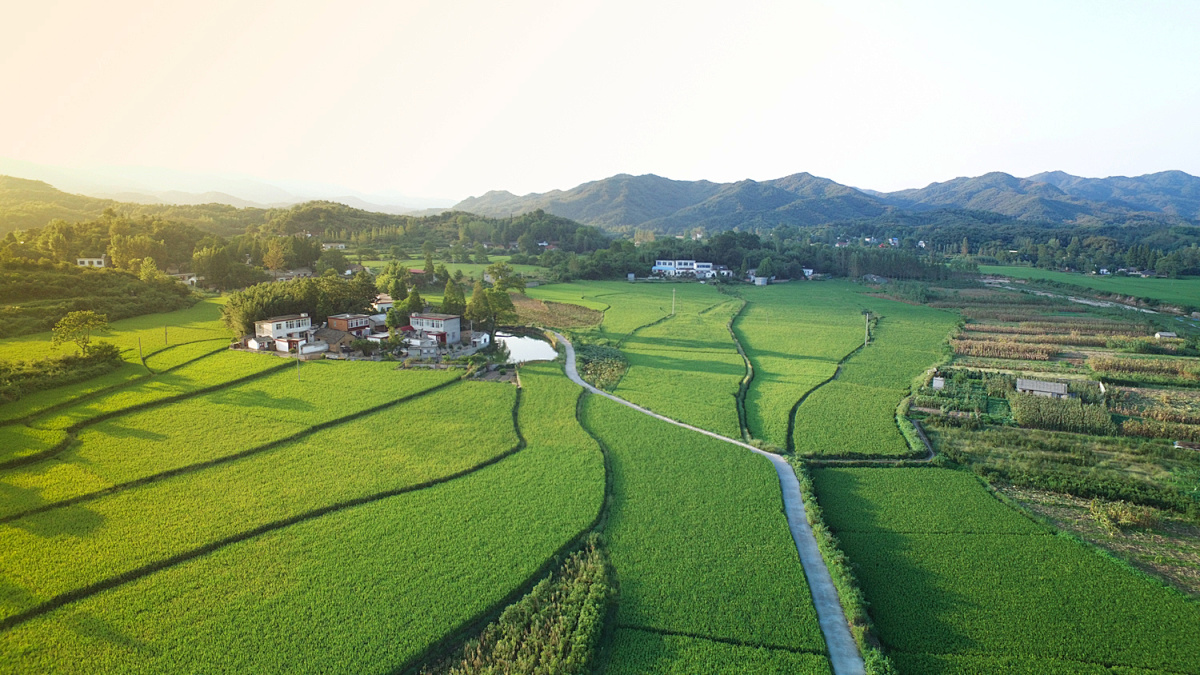 我国拟立法保障粮食安全