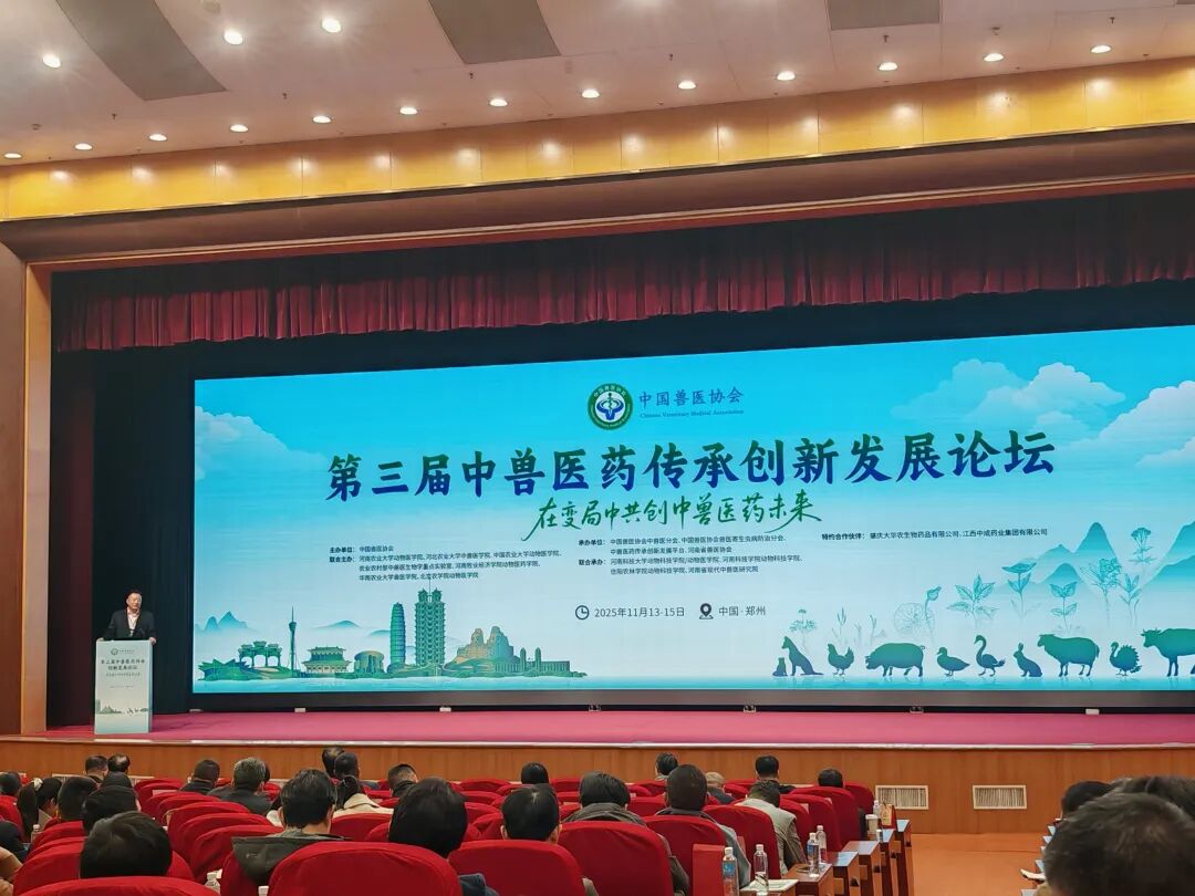 绿色养殖，吕粮山猪在行动！