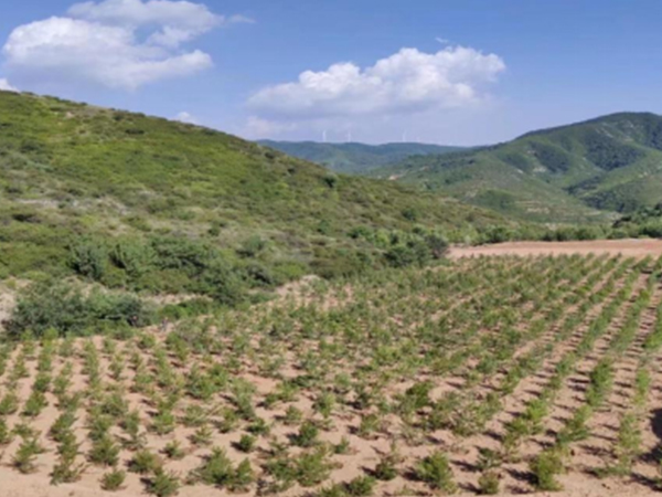 黃河流域及重點(diǎn)地區(qū)歷史遺留廢棄礦山環(huán)境修復(fù)治理監(jiān)測(cè)項(xiàng)目
