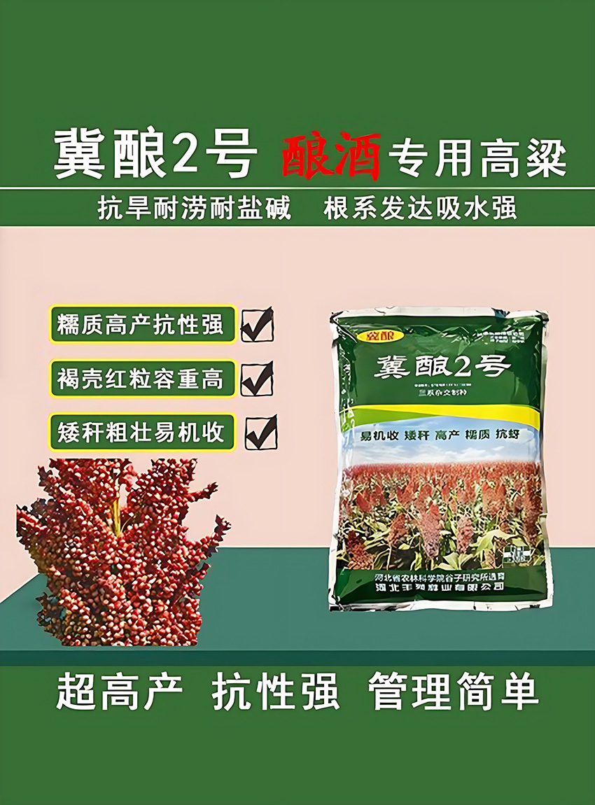 冀釀二號(hào)