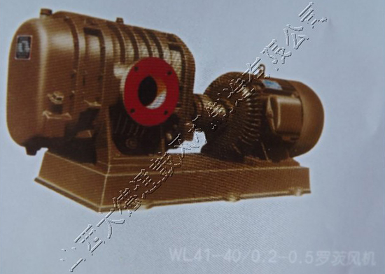 WL41-40 2-0.5罗茨风机
