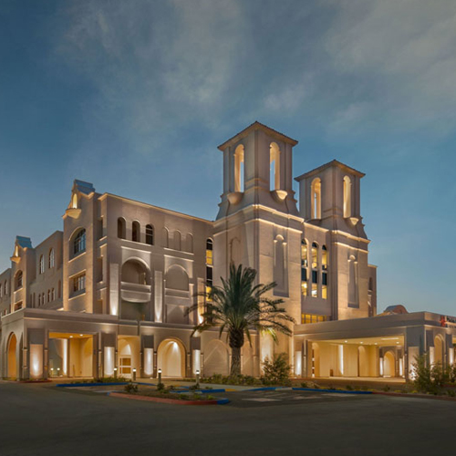 2. Access to Top U.S. Hospitals: Personalized Resource Matching