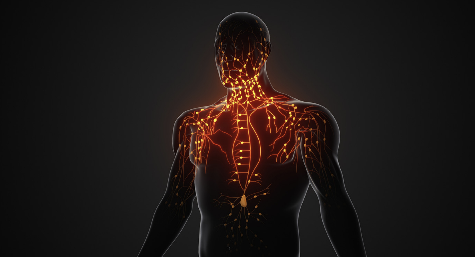 新型疫苗降低胰腺癌复发风险,给患者带来更多希望