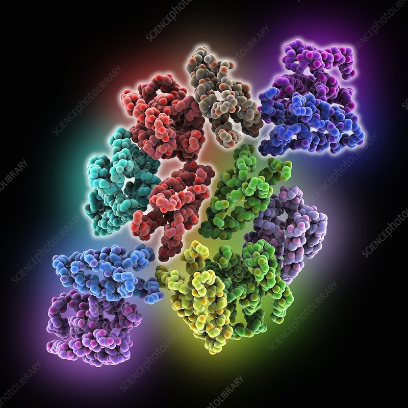 软组织肉瘤治疗新进展