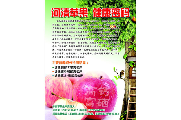 功能蘋果