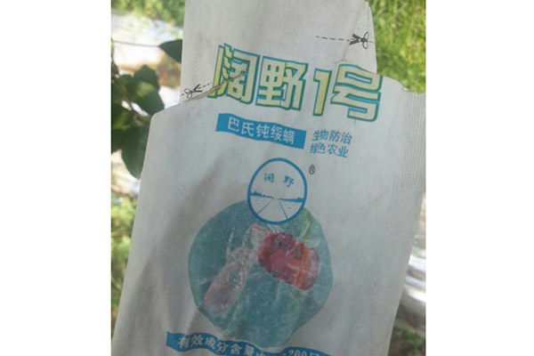 蘋果基地