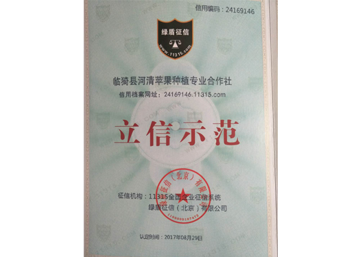 立信示范