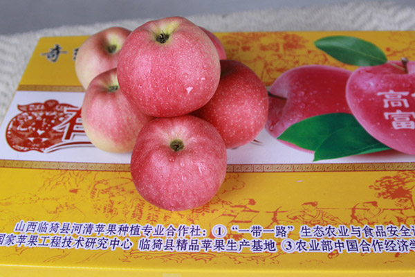 75嘎啦蘋果