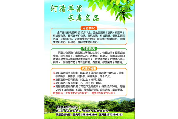 功能蘋果