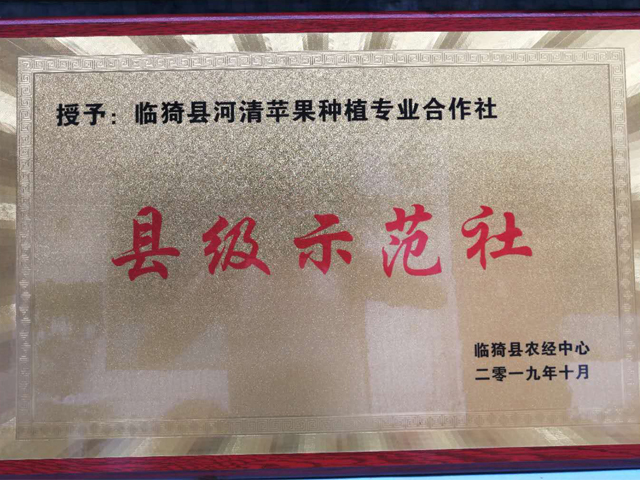县级示范社