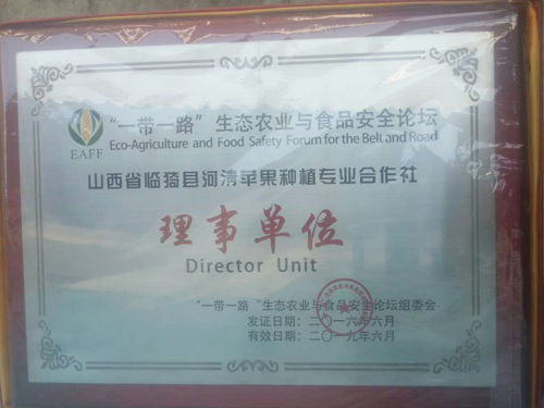 理事单位