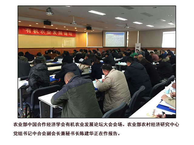 荣誉资质