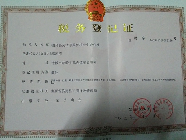 税务登记证
