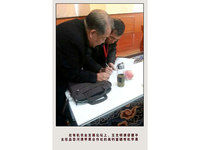 荣誉资质