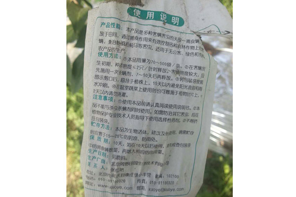 蘋果基地