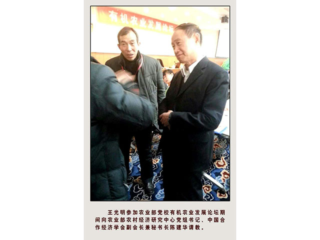 荣誉资质