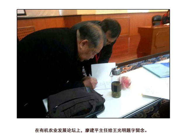 荣誉资质