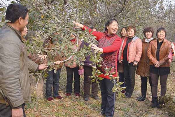苹果基地