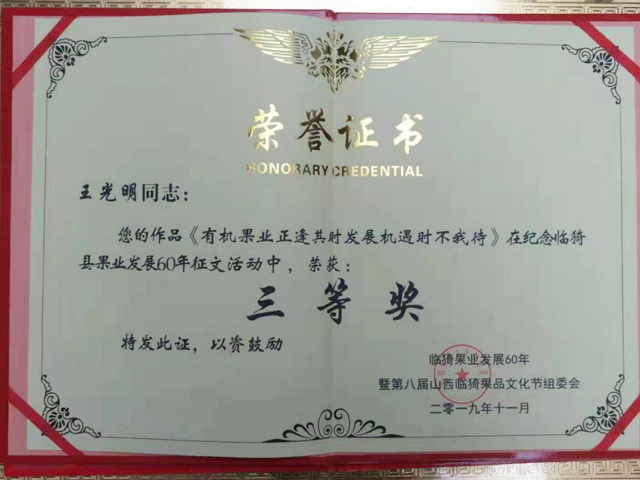 荣誉证书