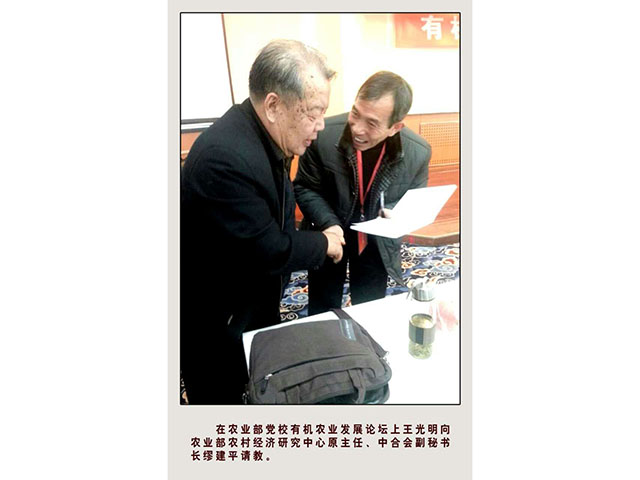 荣誉资质