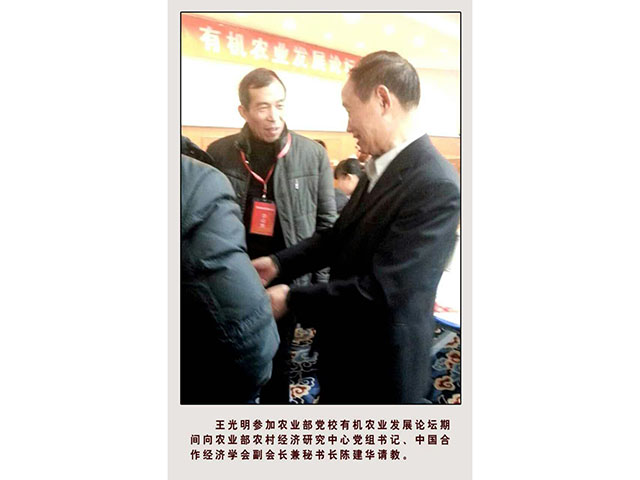 荣誉资质