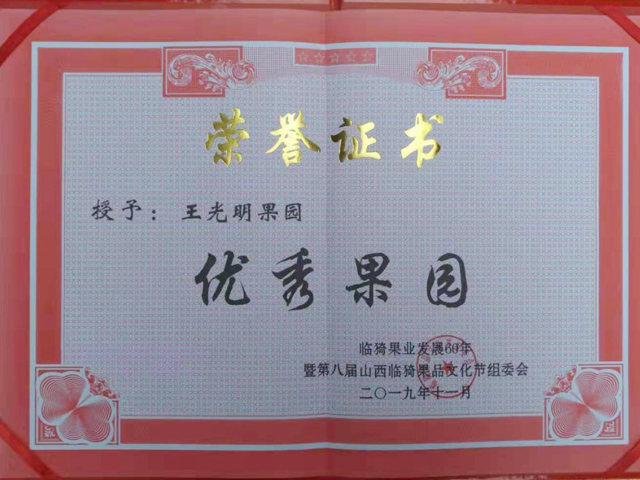 荣誉证书