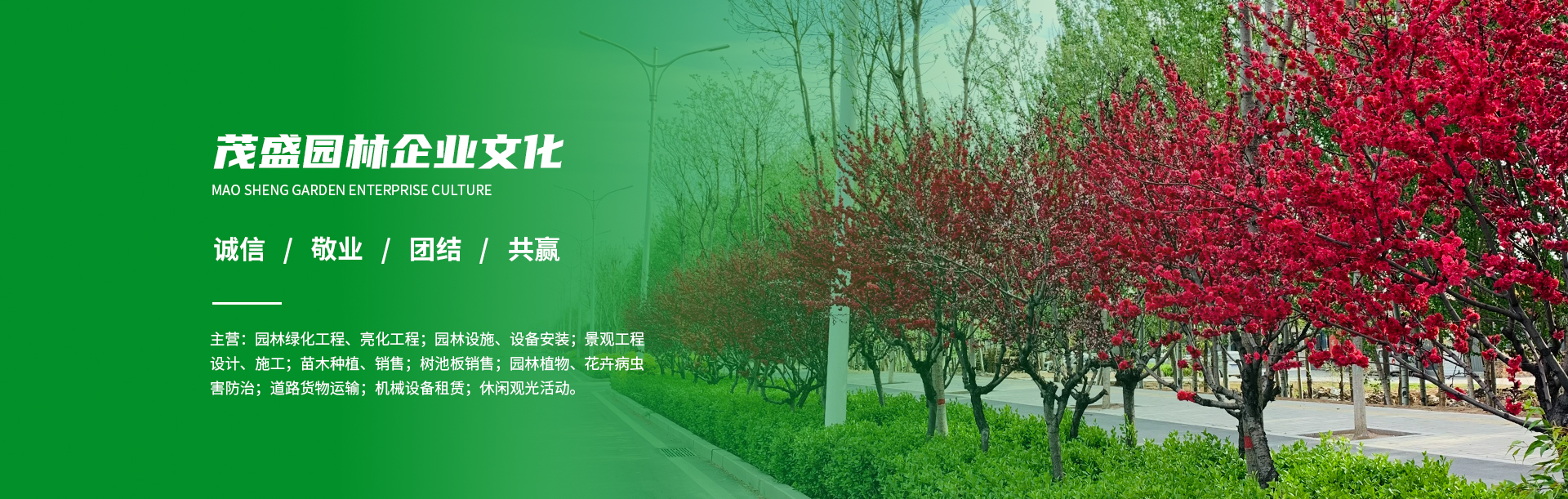亚洲午夜福利在线网站,亚洲 无码 人妻 另类