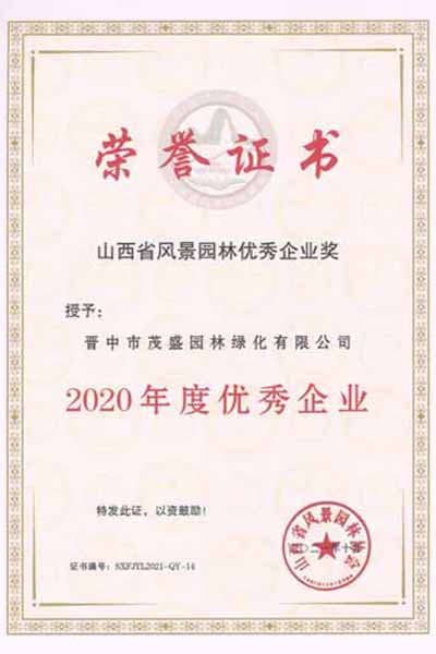 2020年度******企業(yè)