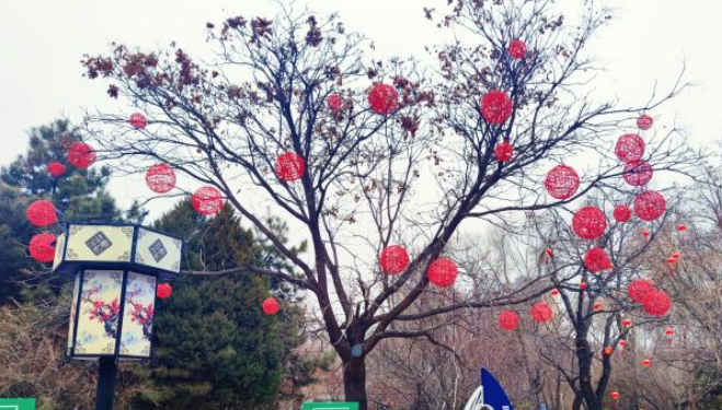 亮起來 火樹銀花不夜天 紅起來 張燈結(jié)彩迎新年