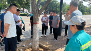 破解生長(zhǎng)困境  煥活街景綠意