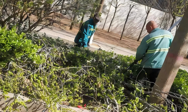 極端大風(fēng)肆虐 茂盛鐵軍護(hù)行