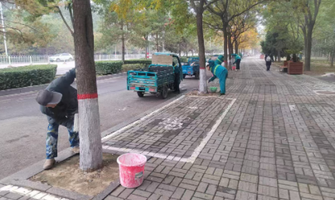 樹木涂白“穿新衣” 筑牢越冬“******線”