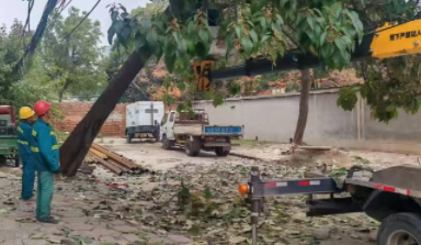 修剪綠植正當時  老舊社區(qū)煥新顏