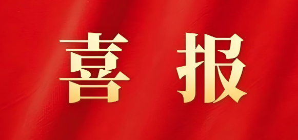 四強引領(lǐng)聚合力 支部建設譜新篇