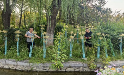 开拓多元运营新篇 描绘萌宠乐园盛景