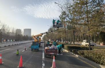 喜迎新春频添喜气 点亮城市尽展风华