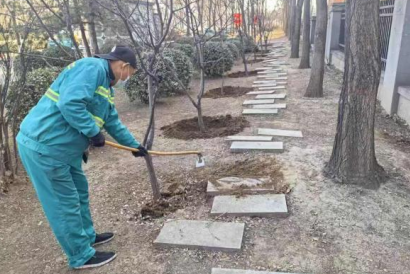 搶抓苗木返青期 精細(xì)養(yǎng)護(hù)正當(dāng)時(shí)